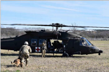 Military working dogs work with Medevac.