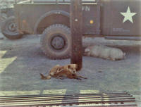 15th Medical Battlion 1st Cav Division Medevac Vietnam