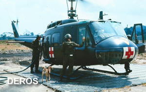 DEROS Medevac mascot.